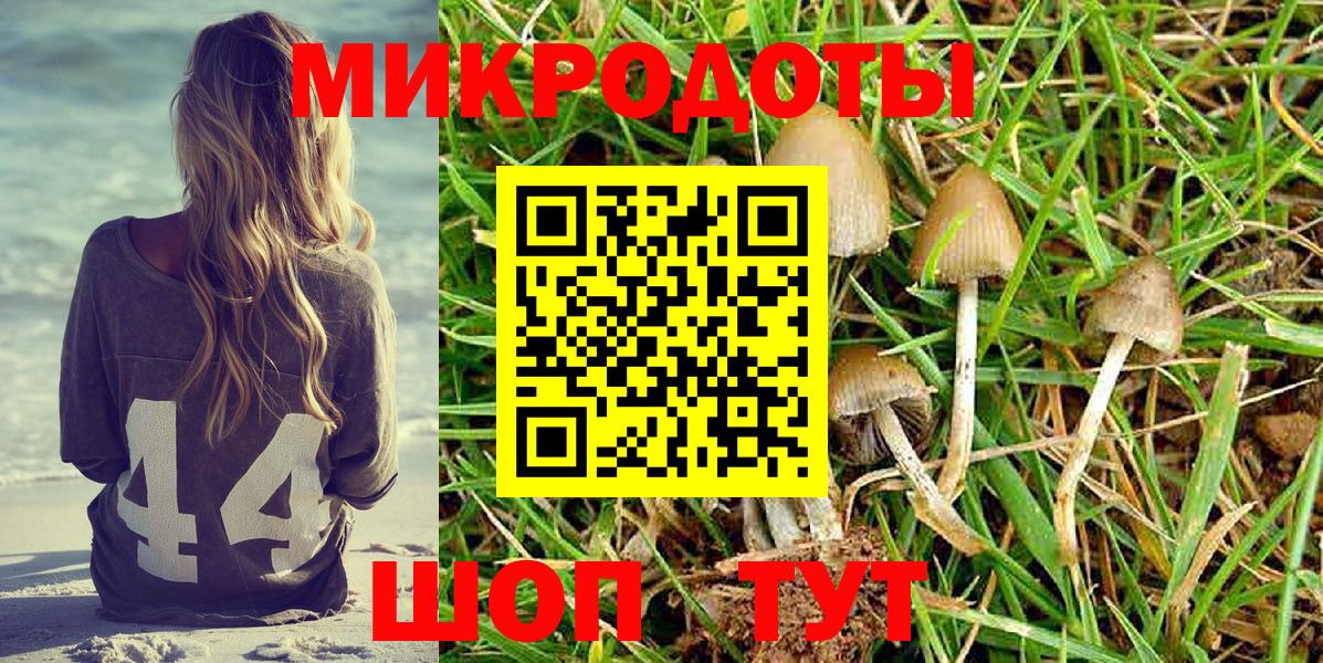 Галлюциногенные грибы GOLDEN TEACHER Камышлов